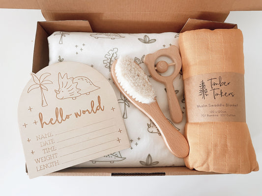 Large Baby Gift Box - Dino