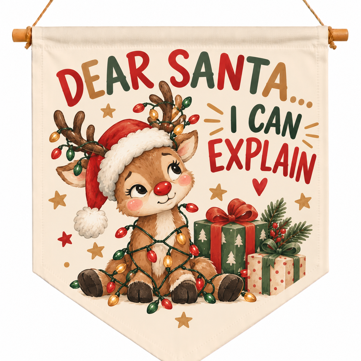 Dear Santa I can explain flag