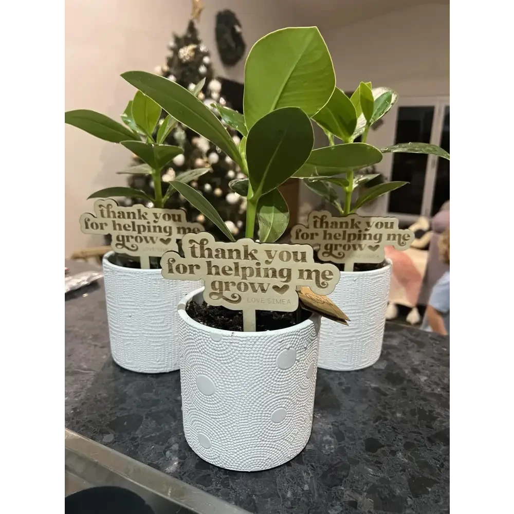 Thank you for helping me grow stick - Timber Tinkers