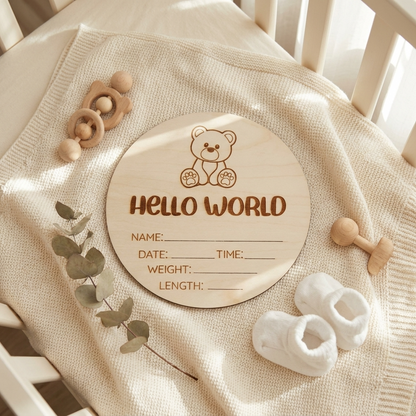 hello world teddy bear