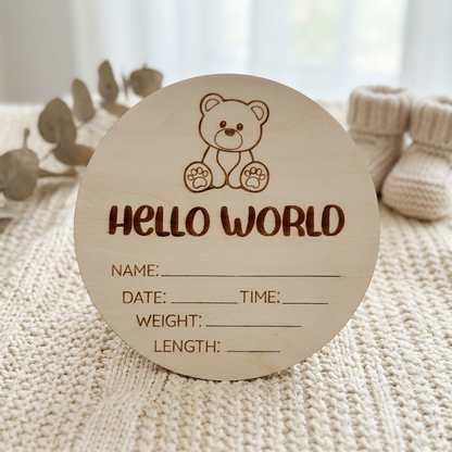 hello world teddy bear
