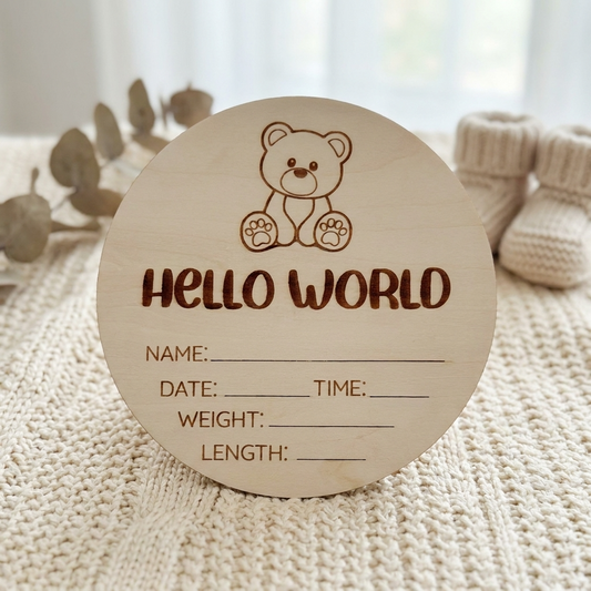 hello world teddy bear