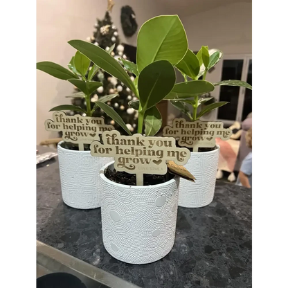 Thank you for helping me grow stick - Timber Tinkers